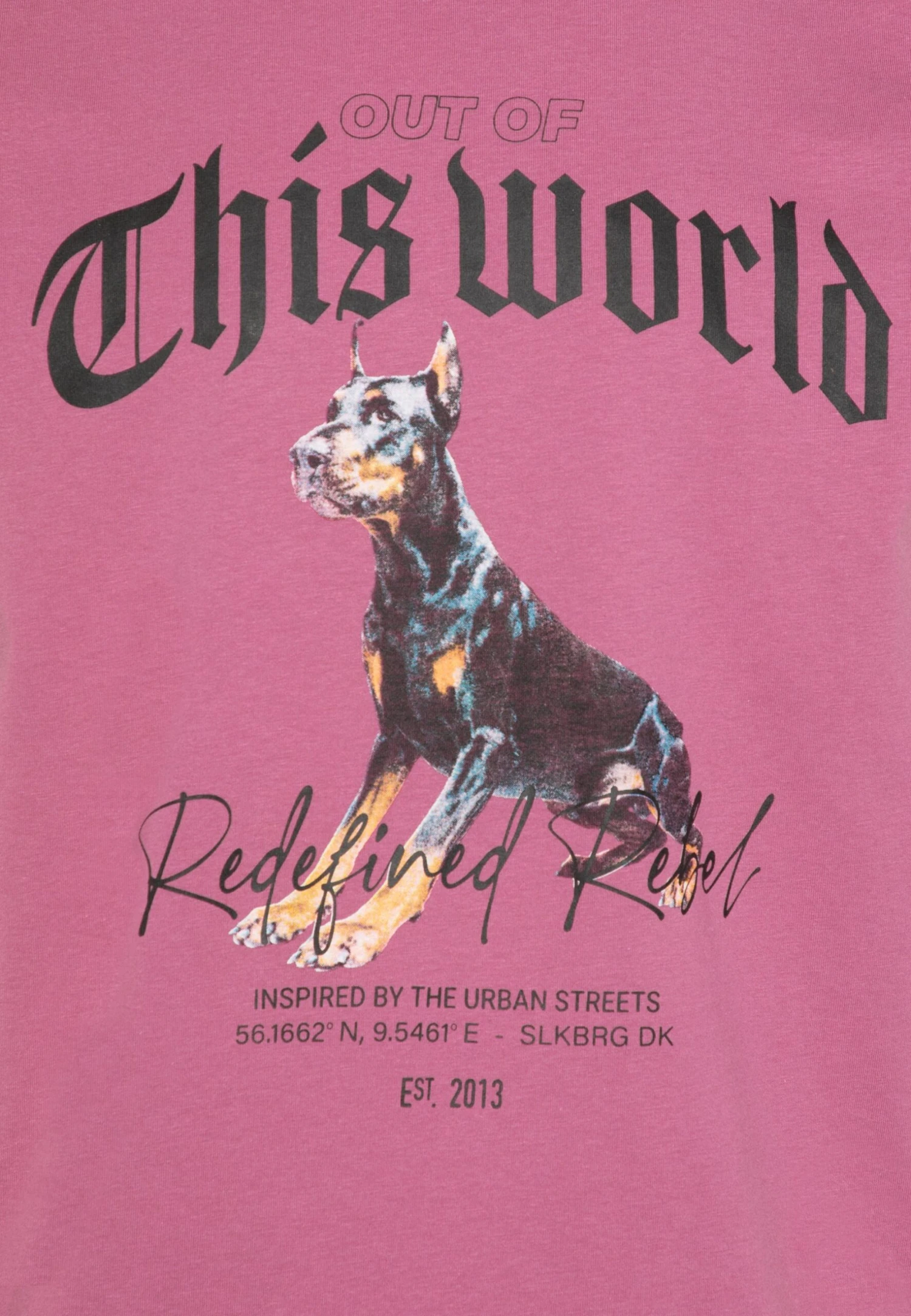 Redefined Rebel Rroliver Tee Unisex - T-Shirt Print - Mellow Mauve - Afbeelding 5