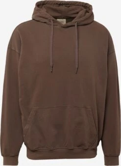 Redefined Rebel Hoodies Sweatshirt Harry Heren Bruin