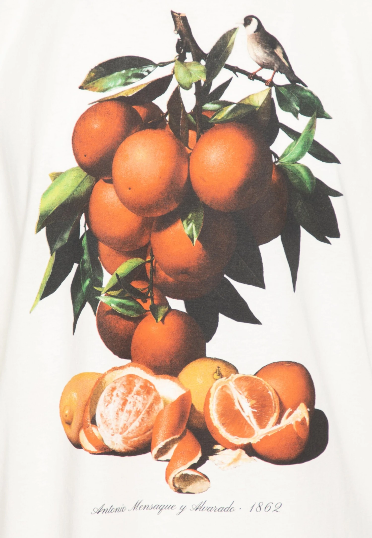 Redefined Rebel Rrgiovanni Tee - T-Shirt Print - Pristine - Afbeelding 5