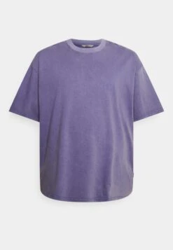 Redefined Rebel Gomes Tee Plus - T-Shirt Basic - Heron