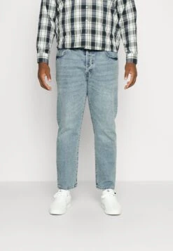 Redefined Rebel Rome Plus Size - Straight Leg Jeans - Zanzibar Denim