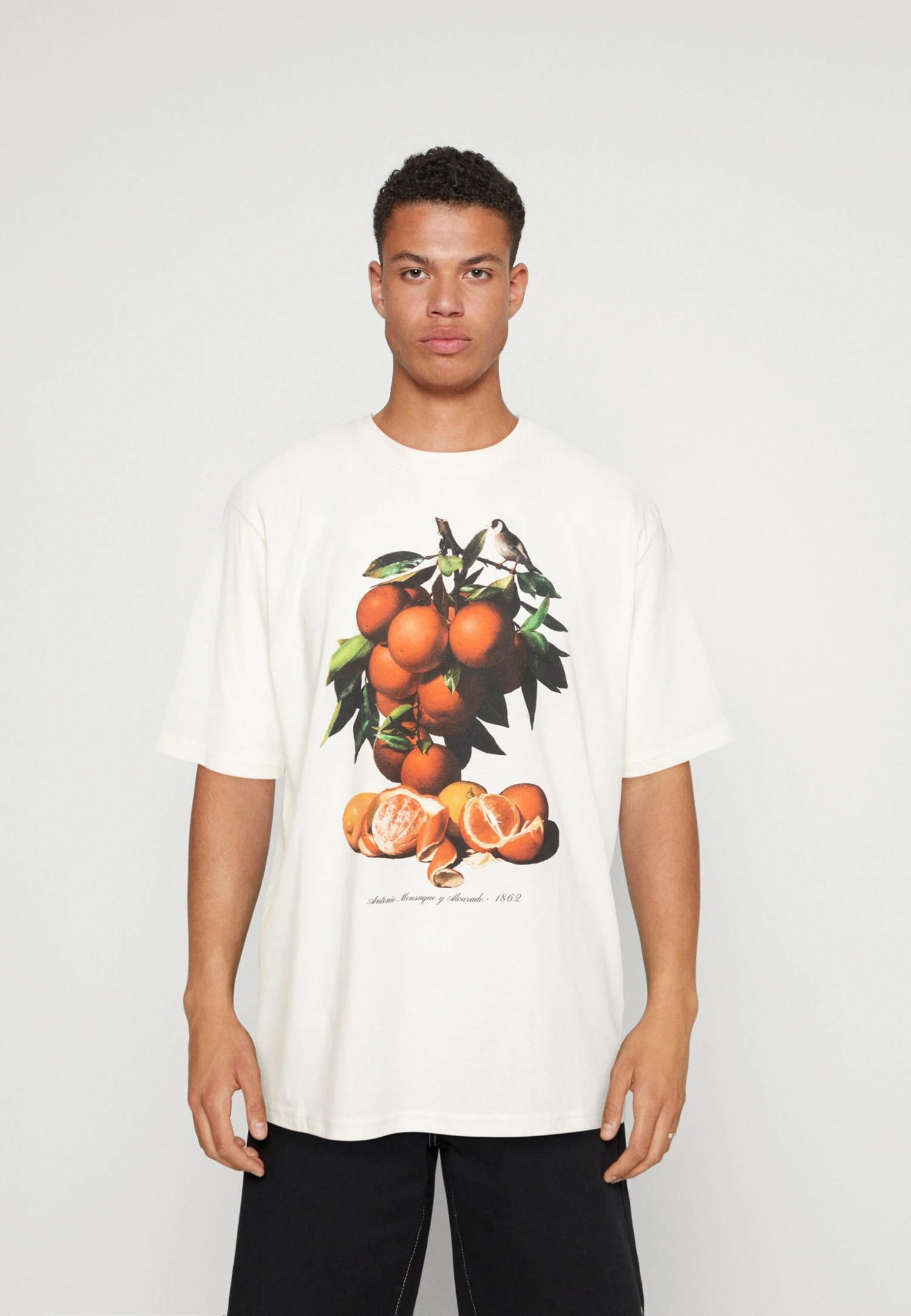 Redefined Rebel Rrgiovanni Tee - T-Shirt Print - Pristine