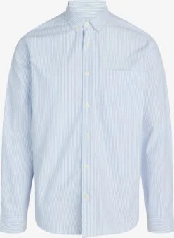 Redefined Rebel Casual Overhemden Regular Fit Overhemd Heren Lichtblauw