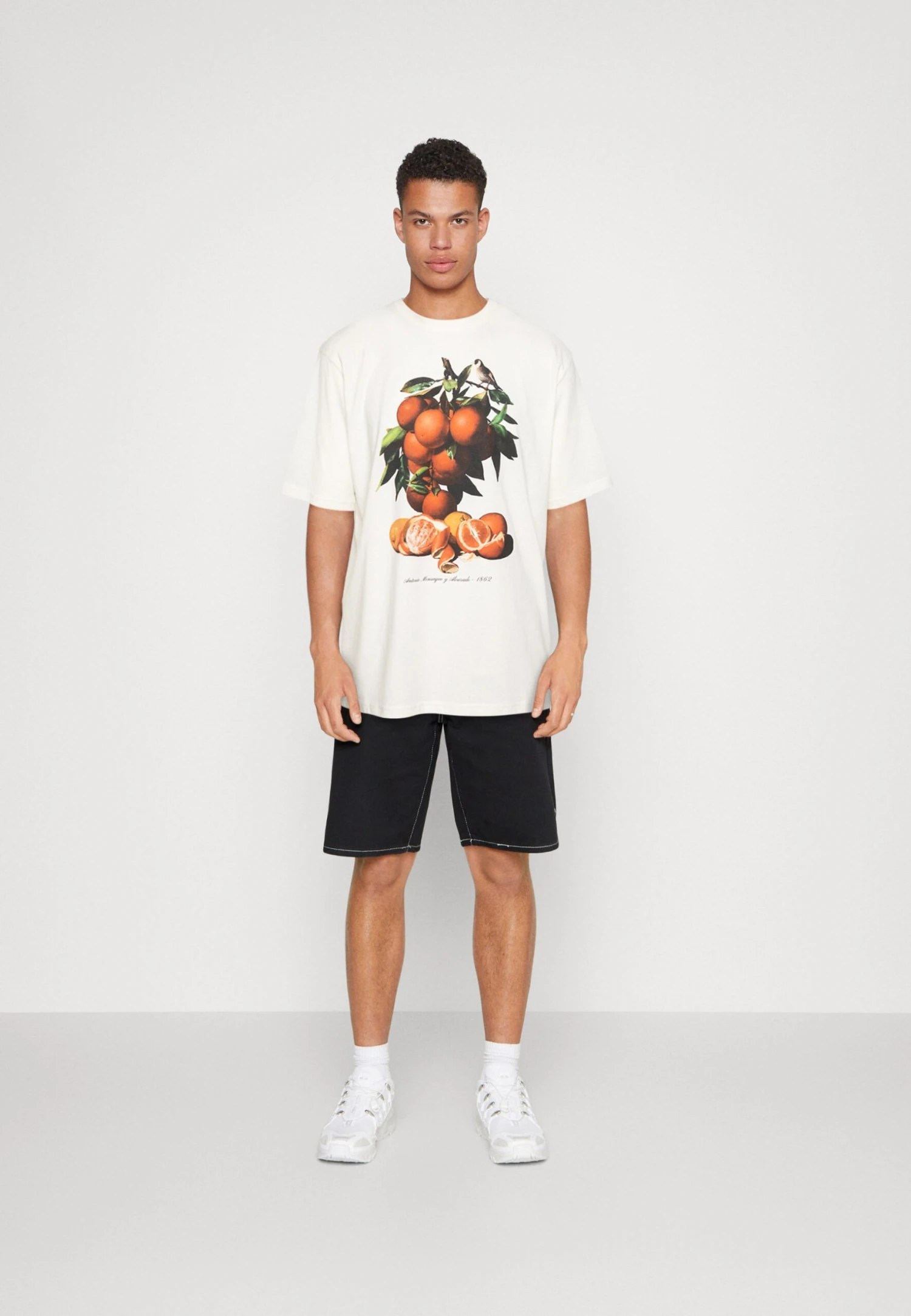 Redefined Rebel Rrgiovanni Tee - T-Shirt Print - Pristine - Afbeelding 2